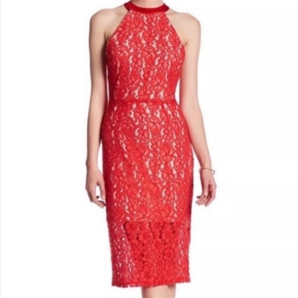gemma halter lace sheath dress Bardot Gemma Halter Lace Sheath Dress